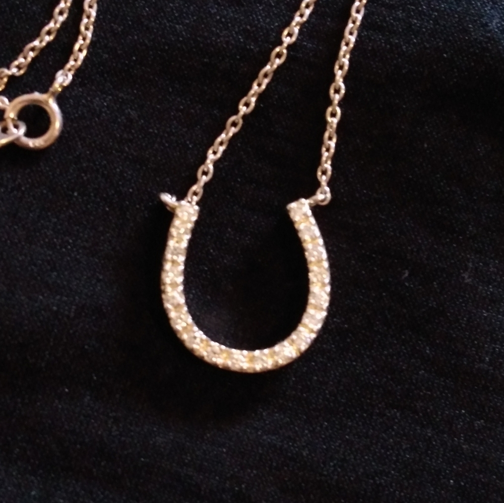 Horseshoe CZ Necklace